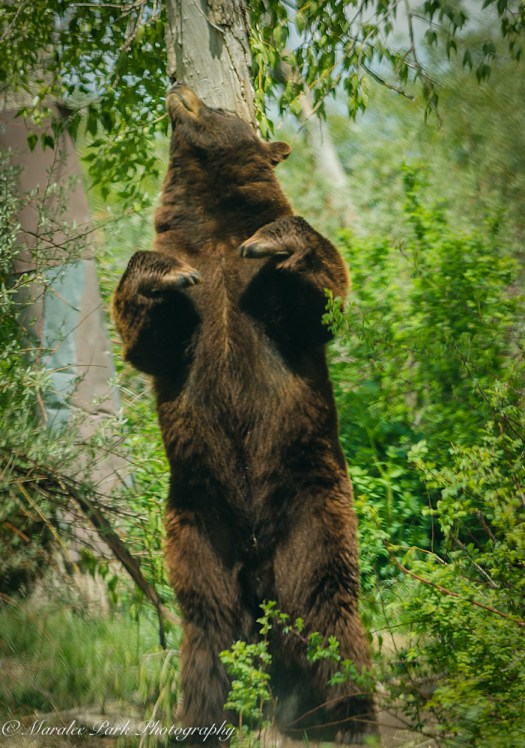 Nature-2620May 21, 2015