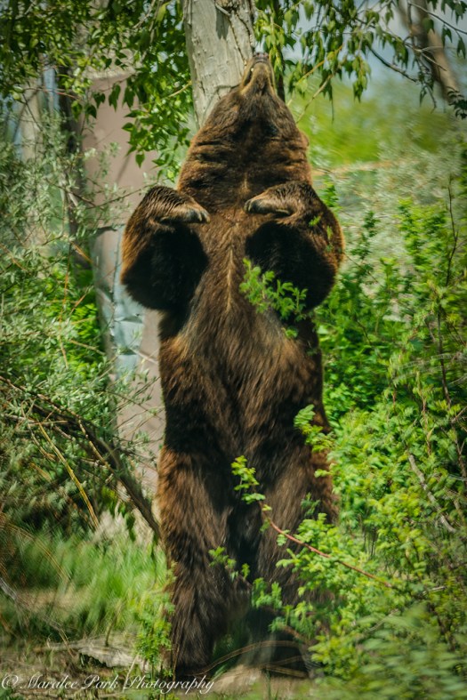 Nature-2621May 21, 2015