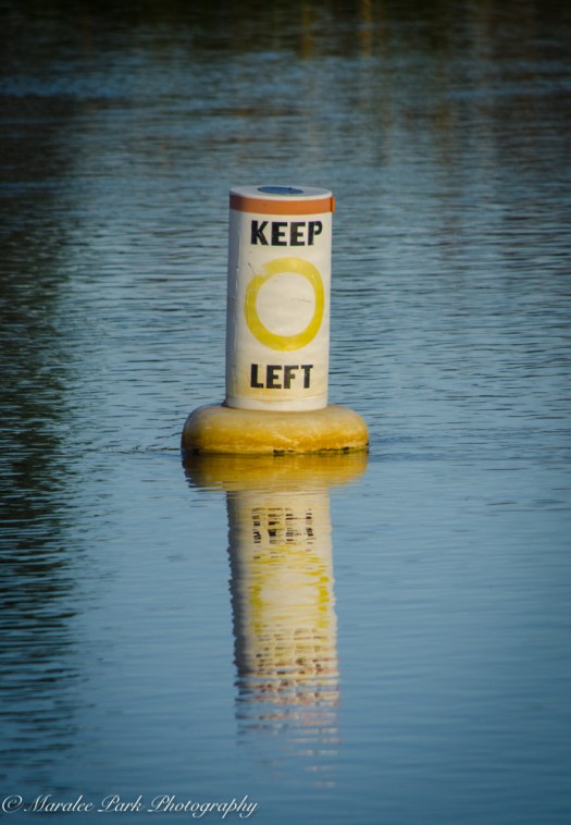 Nature-2812June 03, 2015