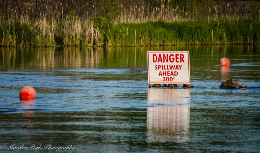 Nature-2814June 03, 2015