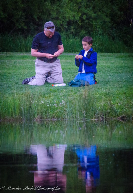 Nature-3806June 19, 2015