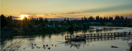 Balloons-01496July 25, 2015