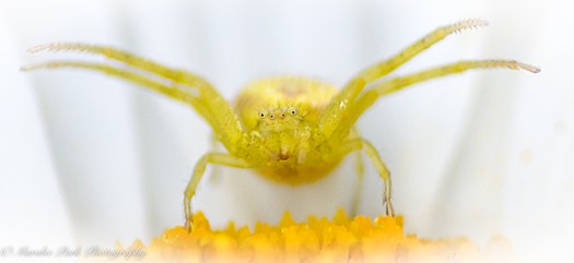 Here's looking at you.