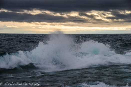 Minnesota2015-5755August 23, 2015