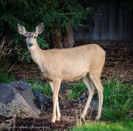 Nature-4695July 31, 2015