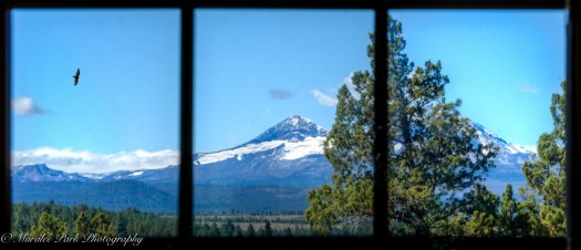 Gerry Landscape-6121September 04, 2015And2more-2