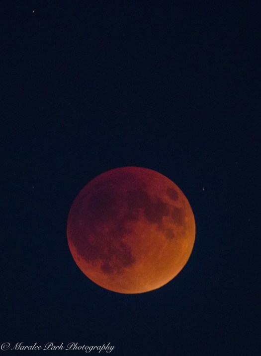 Lunar Eclipse-6925September 27, 2015