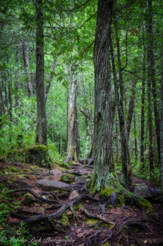Minnesota2015-5225August 20, 2015