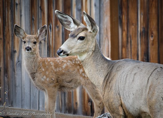 Nature-6784September 15, 2015