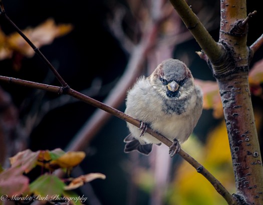 Nature-6794September 15, 2015