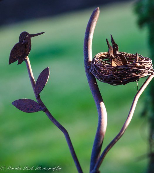 Sunset-6549September 08, 2015