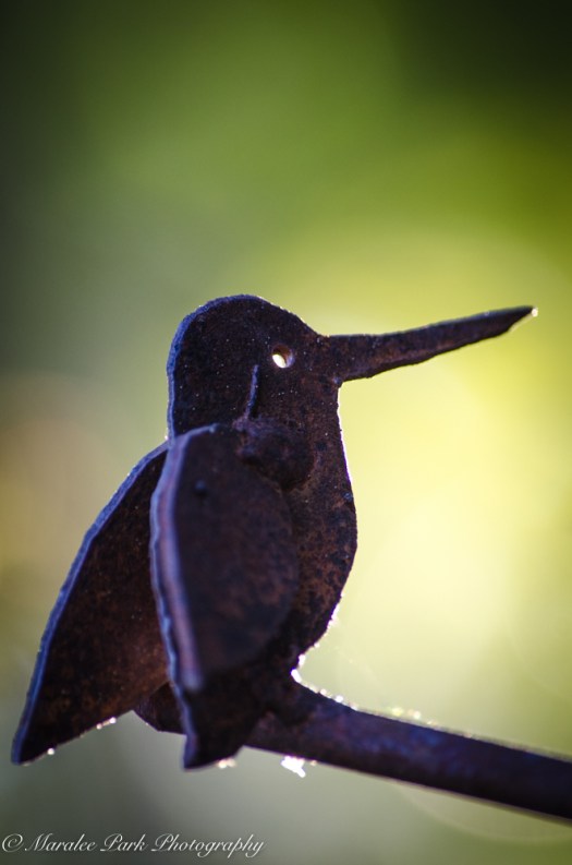 Sunset-6552September 08, 2015