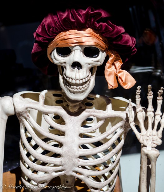 Autumn-6968October 04, 2015