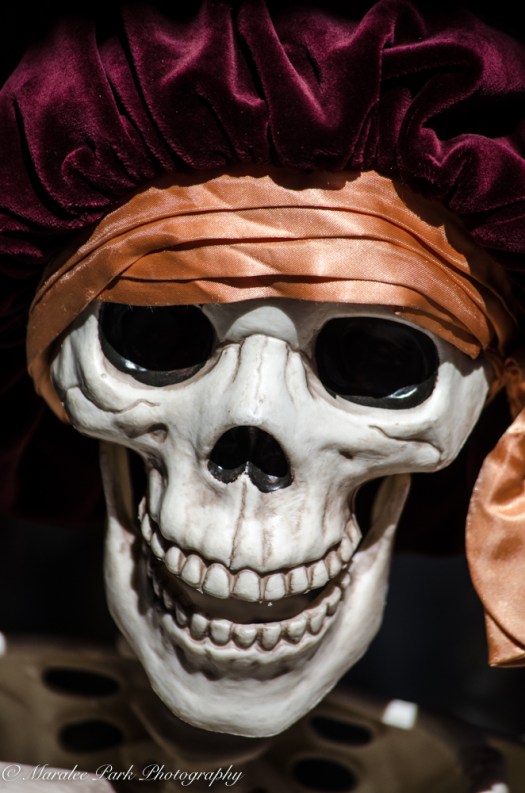 Autumn-6969October 04, 2015