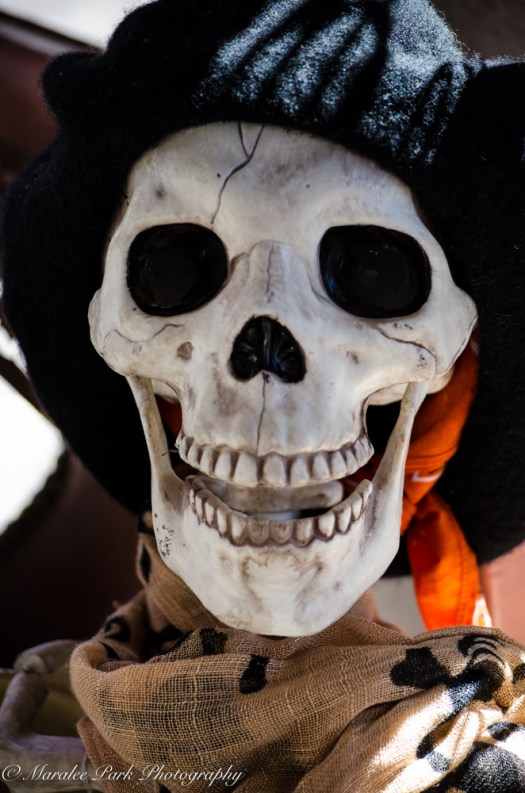 Autumn-6970October 04, 2015