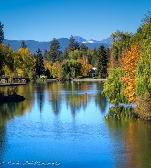 Autumn-7007October 12, 2015And2more