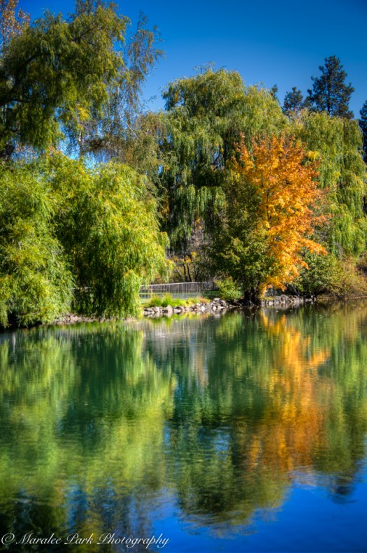 Autumn-7049October 12, 2015And2more