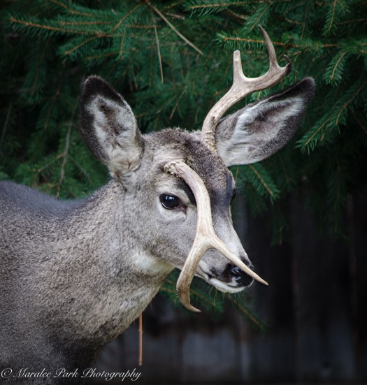 Autumn-7188October 23, 2015