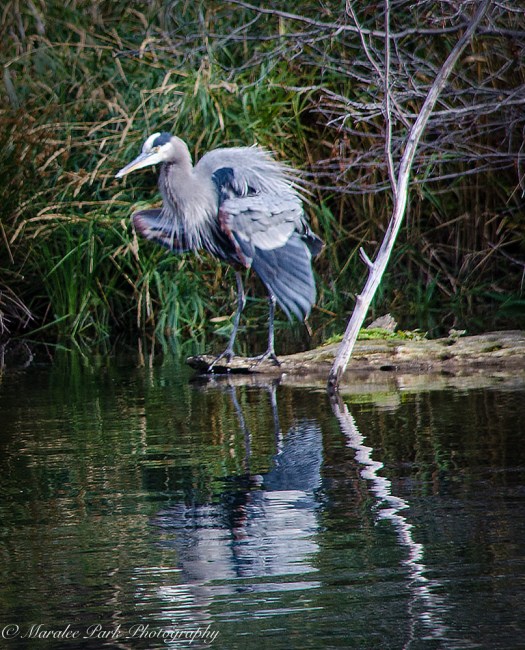 Autumn-7245October 27, 2015