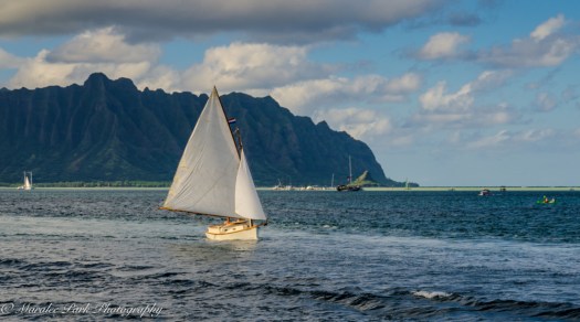 Hawaii 2014.Maralee-6282November 16, 2014