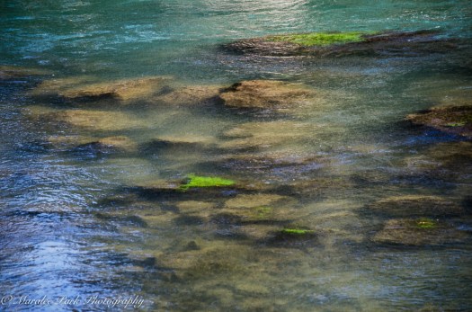 Autumn-7158October 22, 2015-2