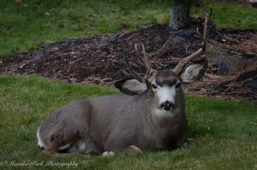 Autumn-7448November 11, 2015