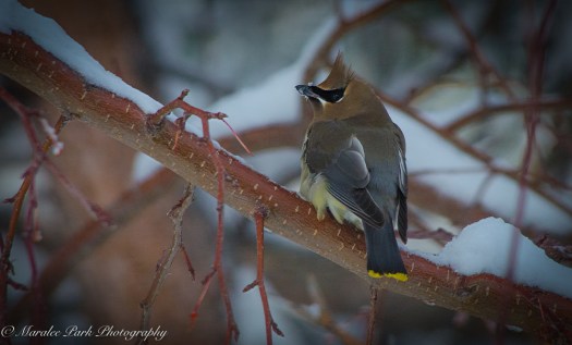 Autumn-7827November 24, 2015