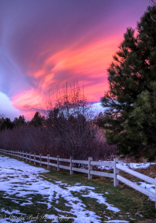 Autumn-01903December 05, 2015And2more