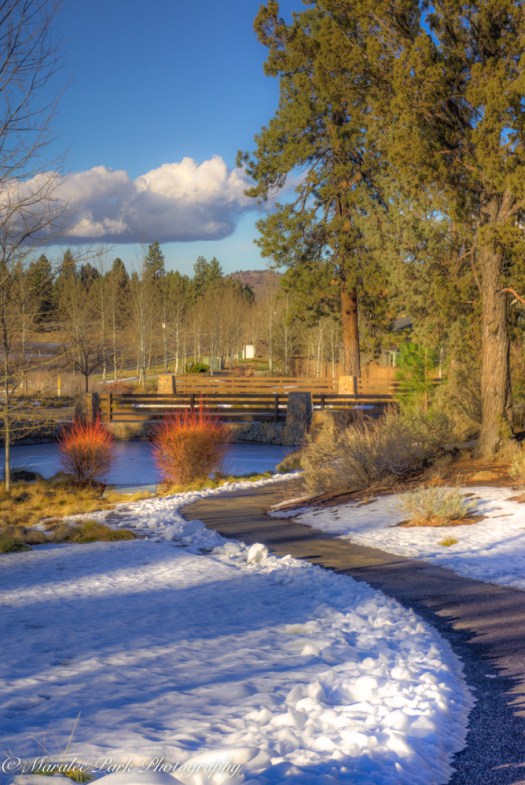 Autumn-01916December 19, 2015And2more