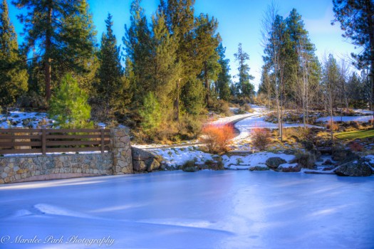 Autumn-01925December 19, 2015And2more