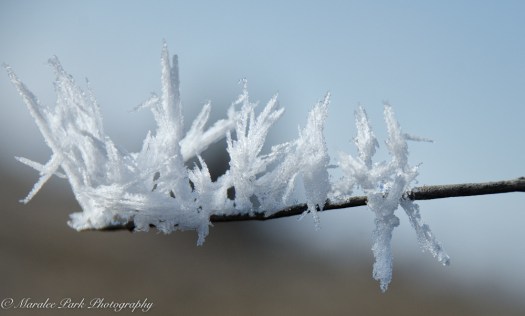 Maralee_Park_140124_60490-Edit