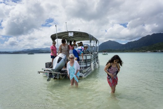 Hawaii-02320April 10, 2016