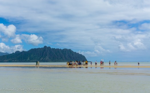 Hawaii-02321April 10, 2016