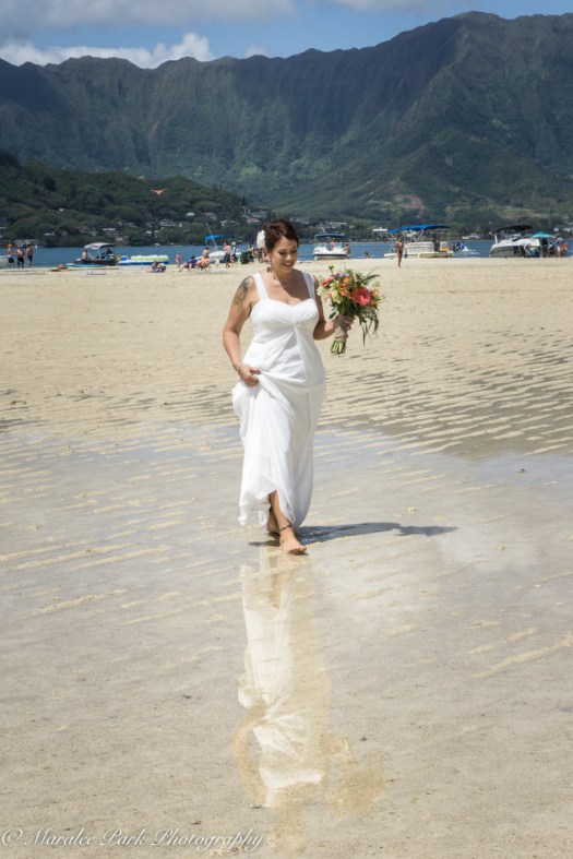 Hawaii-02330April 10, 2016