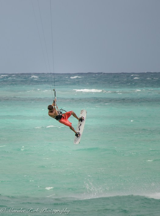 Hawaii-0444April 12, 2016