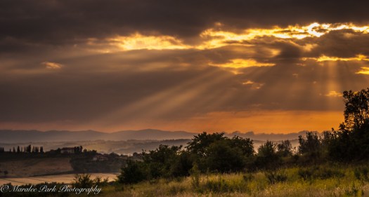 Maralee_Park_070527_00910