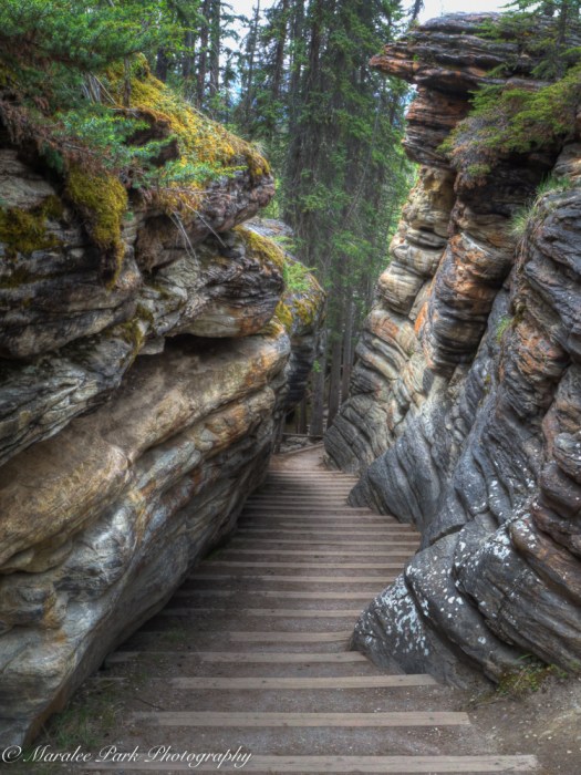 Canada2016-02934May 10, 2016And2more