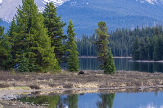 Canada2016-02979May 10, 2016