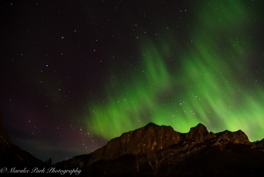 Canada2016-0662May 07, 2016