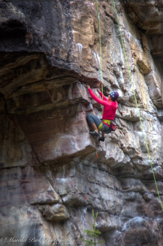 Canada2016-0715May 08, 2016