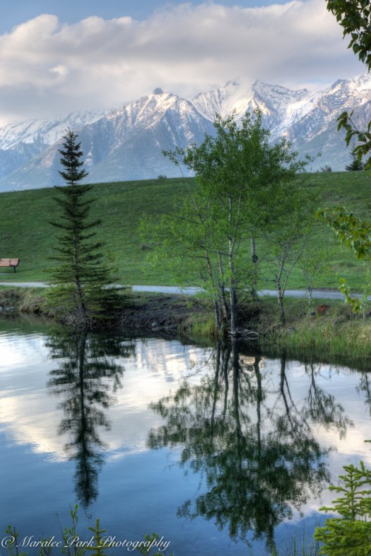 Canada2016-03317May 13, 2016And2more