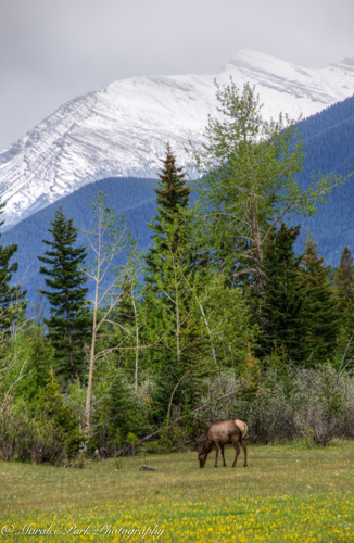 Canada2016-1029May 09, 2016And2more