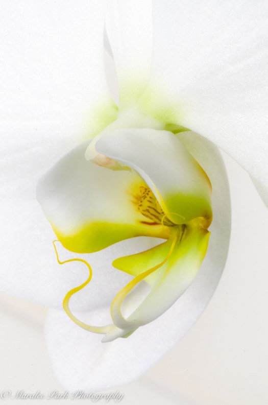 Canada2016-1651June 05, 2016