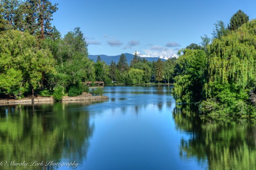 EpilepsyWalk-03343June 11, 2016And2more