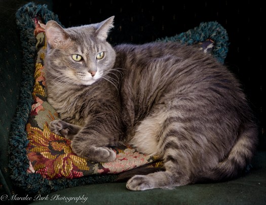 Nature-1787June 20, 2016