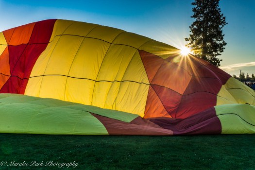 Balloons-04033July 23, 2016