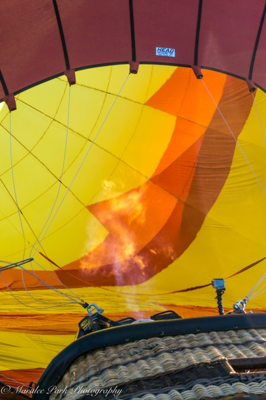 Balloons-04072July 23, 2016