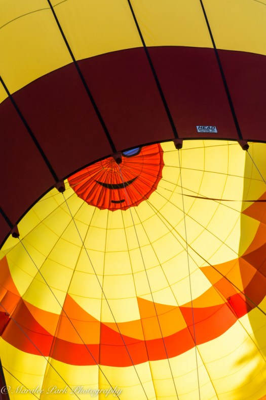 Balloons-04106July 23, 2016