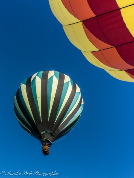 Balloons-04138July 23, 2016