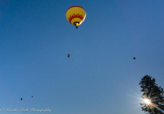 Balloons-04161July 23, 2016